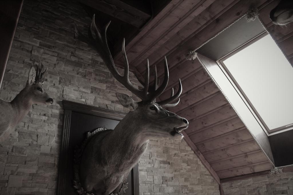 The Golden Eagle Apartment